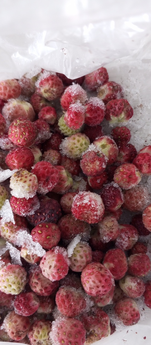 Клубника замороженная