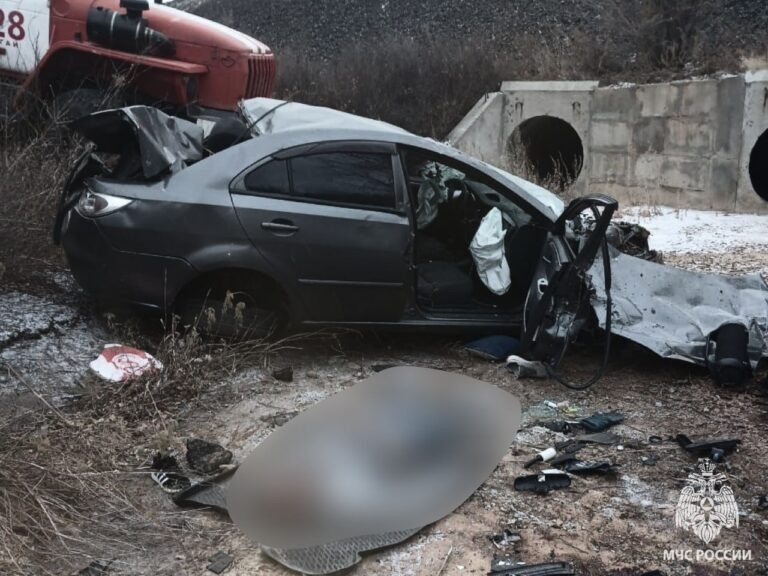    Фото: МЧС России Илья Федоров