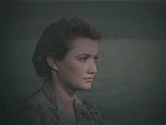 "Звёзды на крыльях"