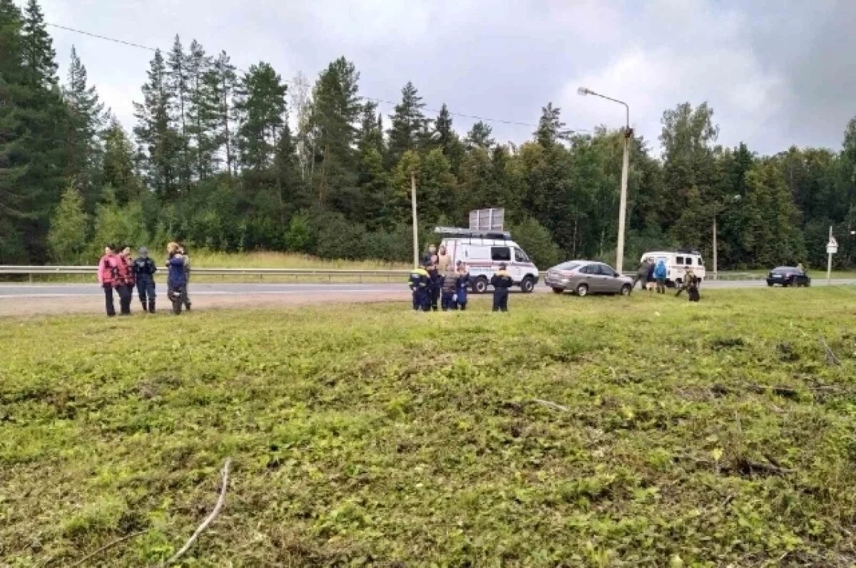    Всем отправляющимся в лес советуют выбирать яркую одежду и обязательно брать с собой воду, необходимые лекарства (если вы их принимаете), перекус, полностью заряженный телефон, зажигалку