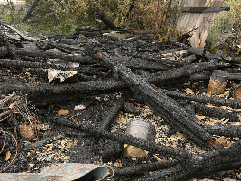    © Фото из архива ИА «PenzaNews»