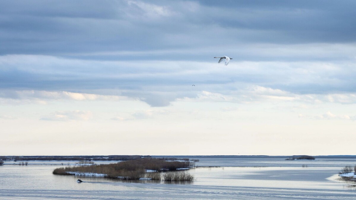    Фото: Федор Воронов/«Ямал-Медиа»