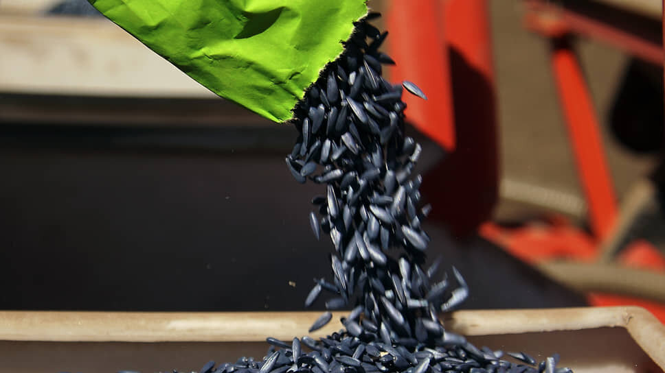 Фото: Василий Дерюгин / Коммерсантъ