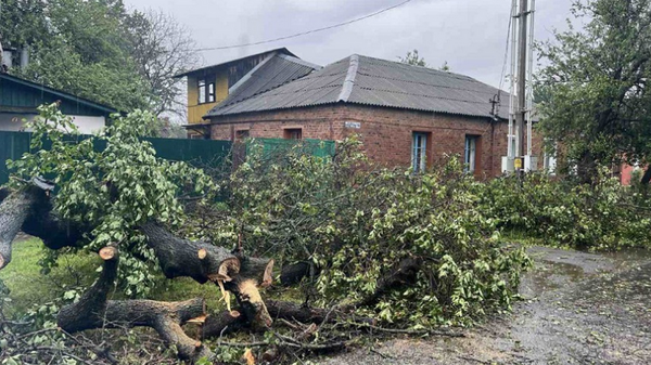    © Photo : МЧС Беларуси