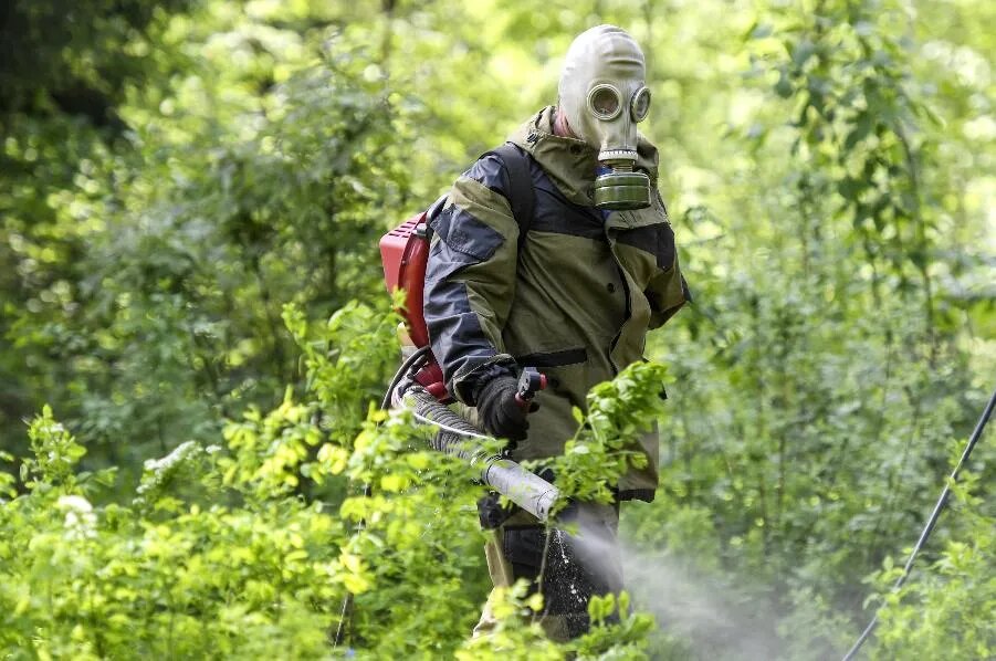 ФОТО Кирилла КУХМАРЯ /ТАСС