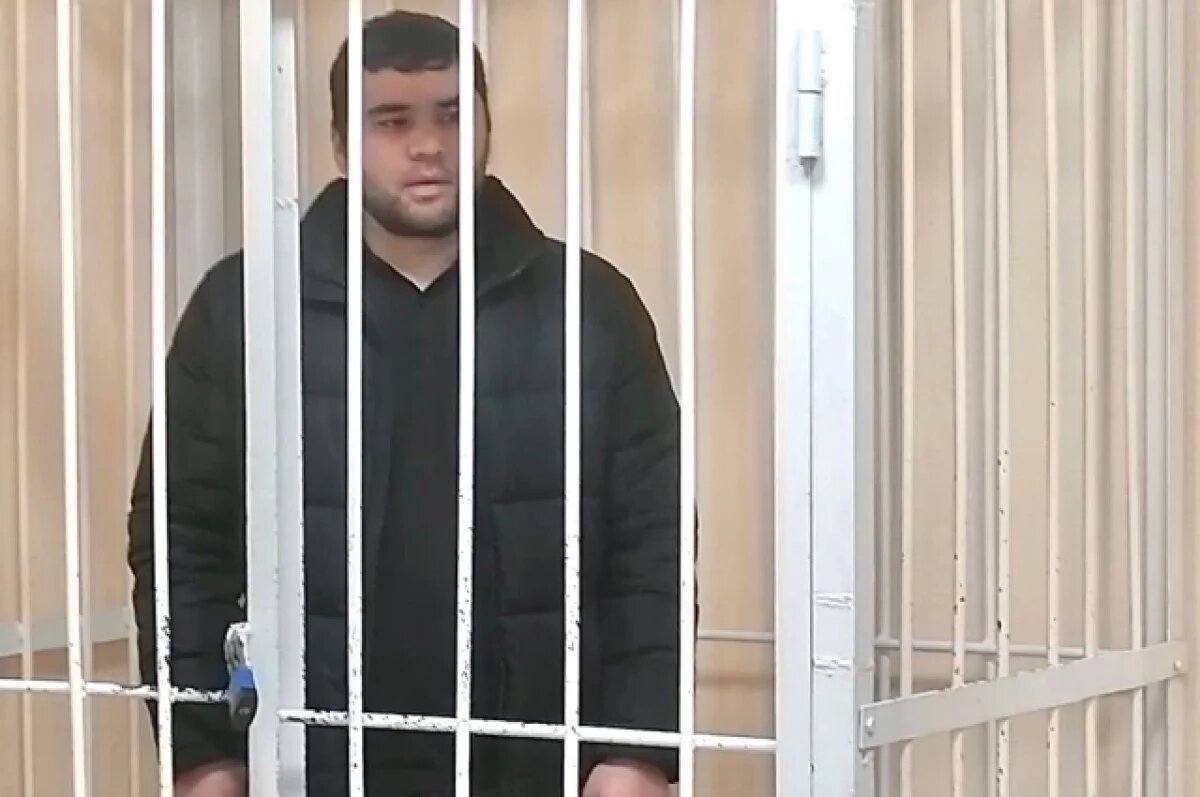    Мясник-мигрант получил срок за оскорбление военных и женщин в Новосибирске