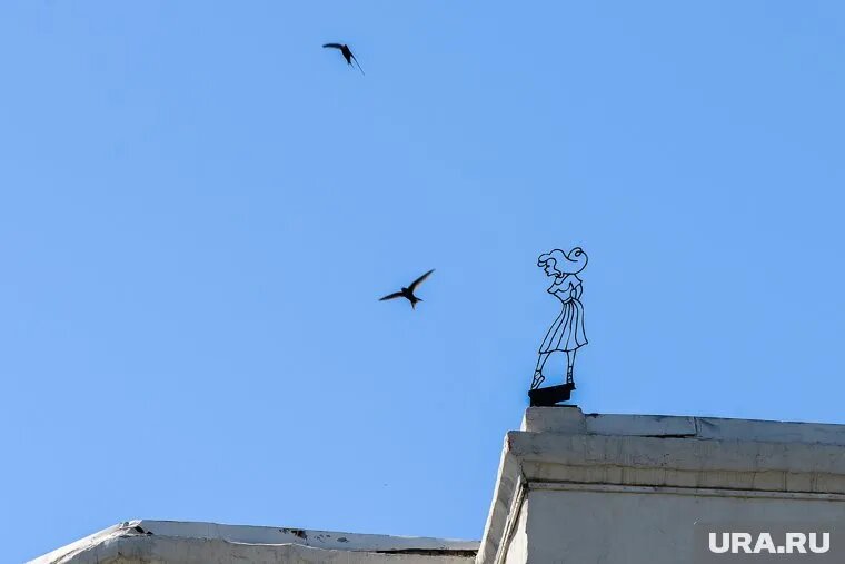 Специалисты просят жителей сообщать о гнездах городской ласточки — как действующих, так и заброшенных. Фото: Вадим Ахметов © URA.RU