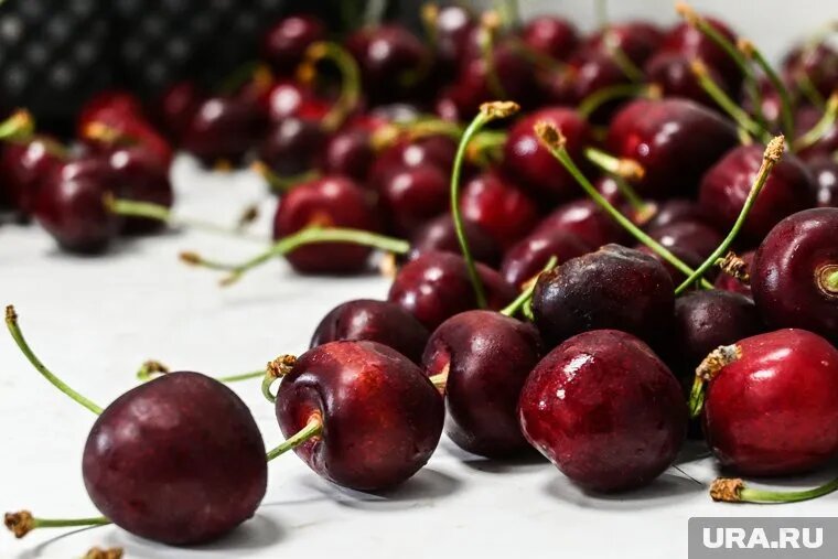 Черешню начали привозить и из России. Фото: Владимир Жабриков © URA.RU