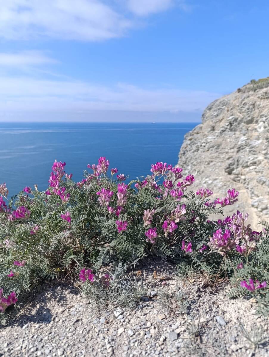 На горе Колдун