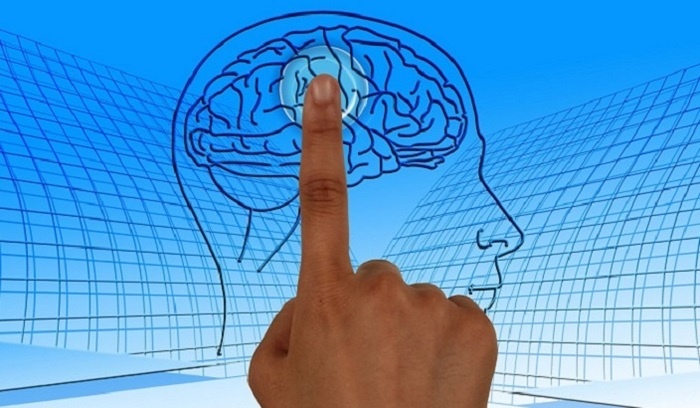    Ученые нашли «молекулярную память» в мозге человека