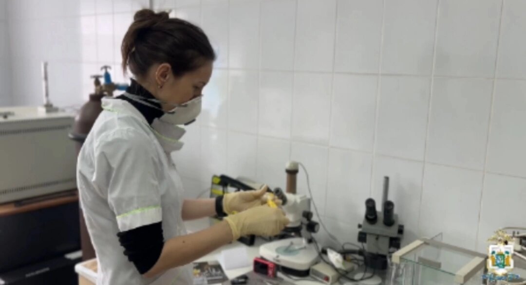    В Сургуте полицейские изъяли более килограмма наркотиков