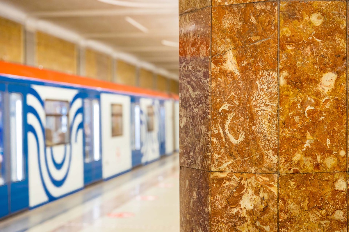    Древние кораллы на станции метро «Красносельская»