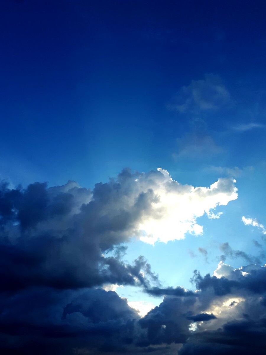 ФОТО АВТОРА СТАТЬИ. МАЙ 2025г.