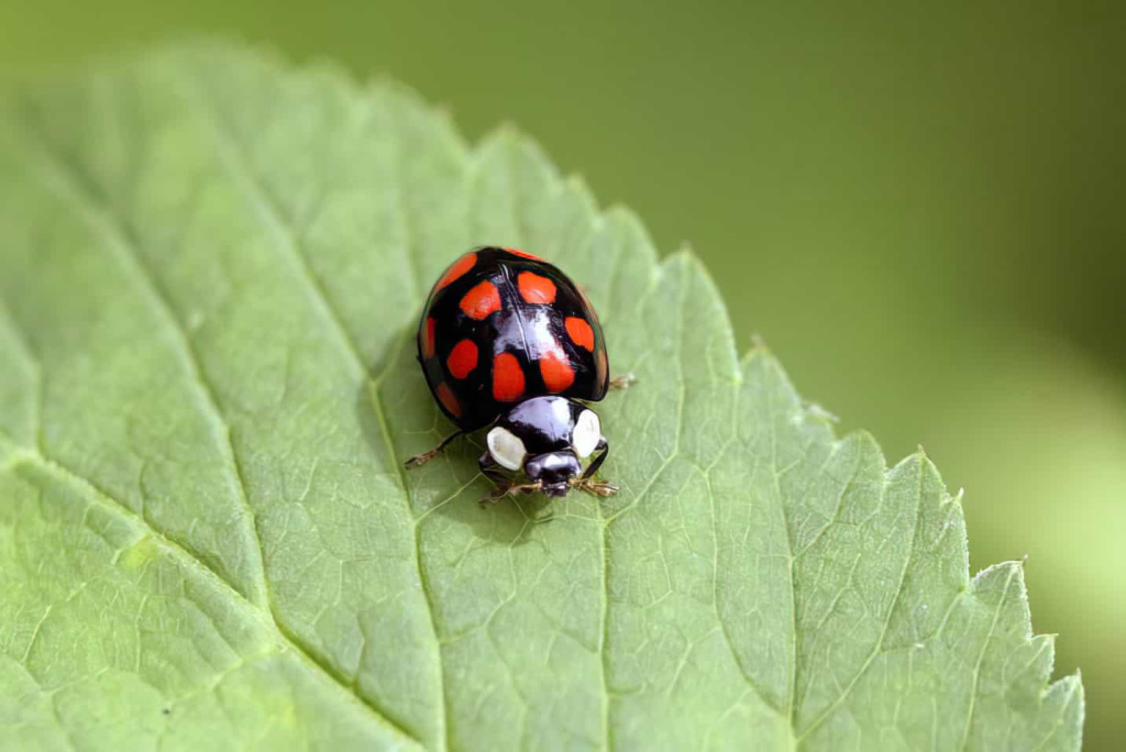 © Фото VN.ru.📷
