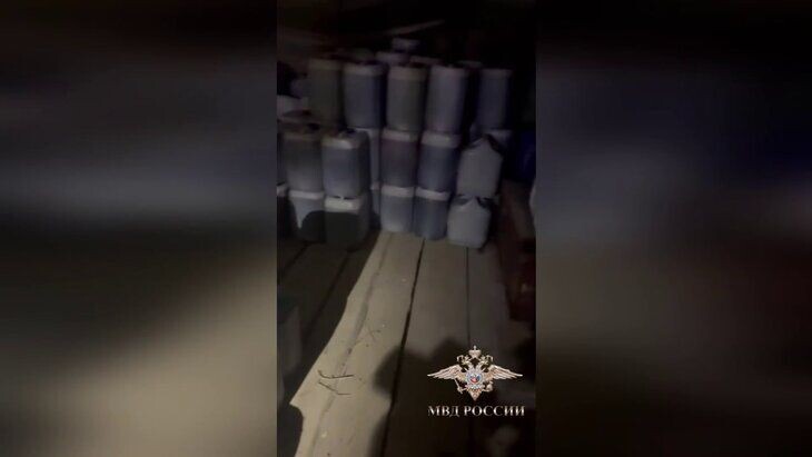     / Источник: © Telegram/Ирина Волк