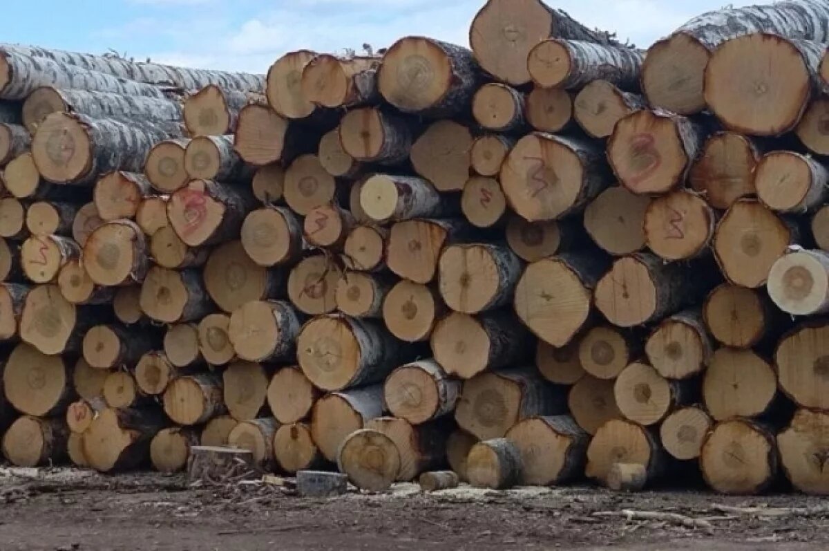    С начала года Удмуртия увеличила экспорт строительных брёвен в 1, 3 раза