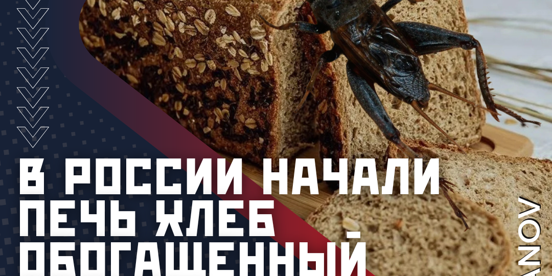 В России начали печь хлеб со сверчками