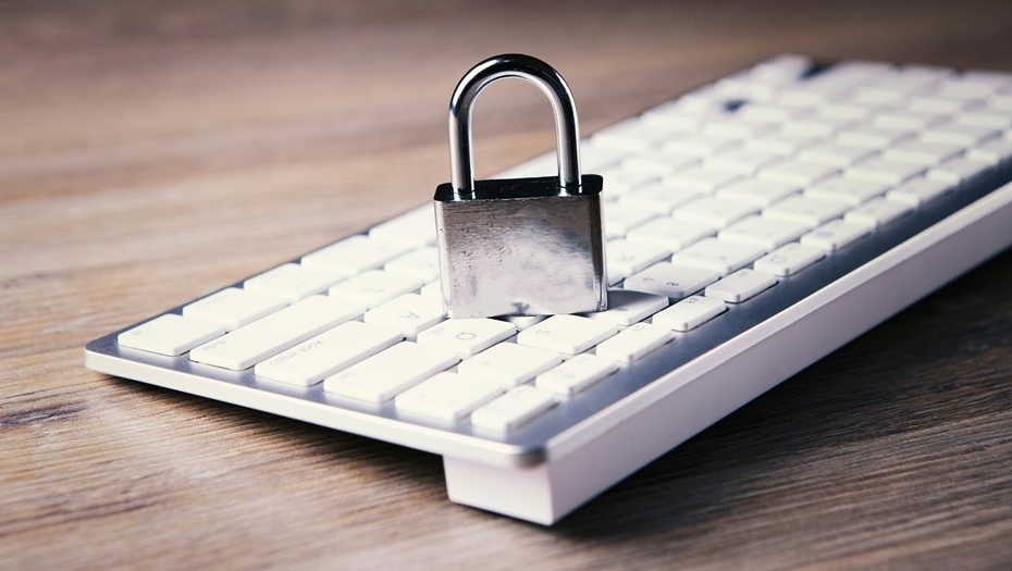    Автор фото: unsplash.com