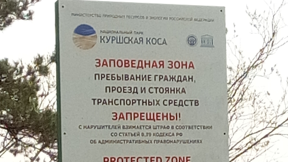 Плакат - предупреждение