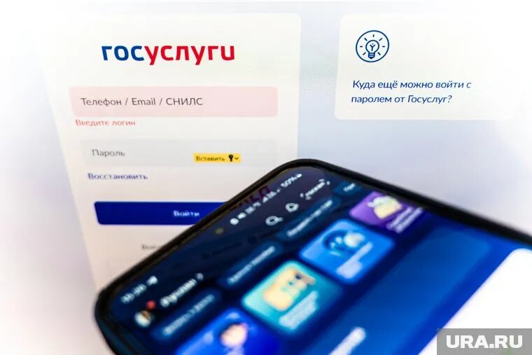 Подать заявление в колледж можно на портале Госуслуг. Фото: Руслан Яроцкий © URA.RU