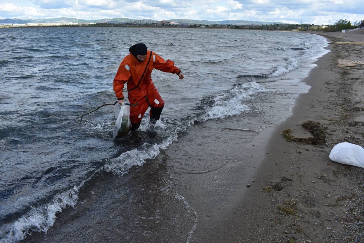    Фото: Департамент по ГО и ПБ Забайкалья   📷   Фото: Департамент по ГО и ПБ Забайкалья   📷   Фото: Департамент по ГО и ПБ Забайкалья