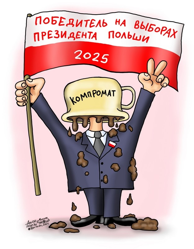 Наглядная реальность: как президента в Польше выбирали. Рисунок Антона Островского