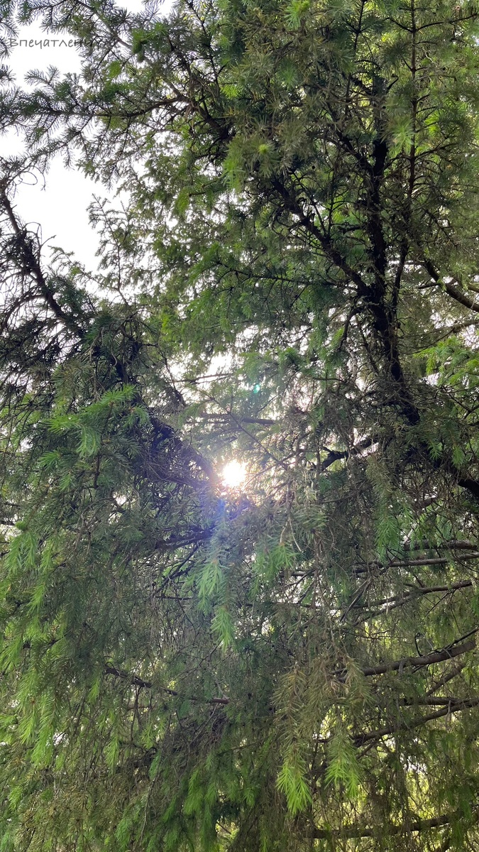 Фотограф: ВпечатлениУМ