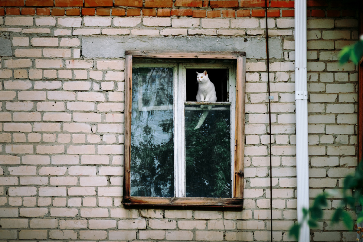 Фото: Сергей Удовиченко