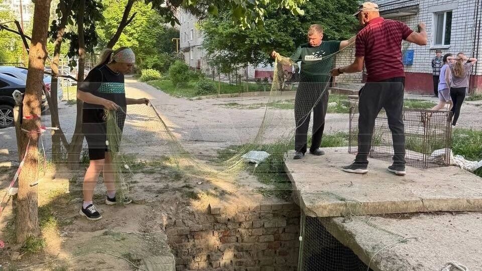     Автор: Telegram-канал Источник: Baza