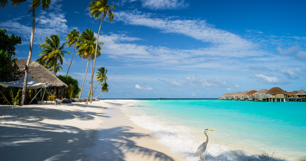 Тайны Мальдивских островов: какой мир скрыт под водой?