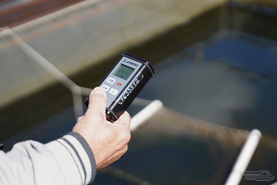    Фото: Лидия Аникина © ИА «Уральский меридиан»