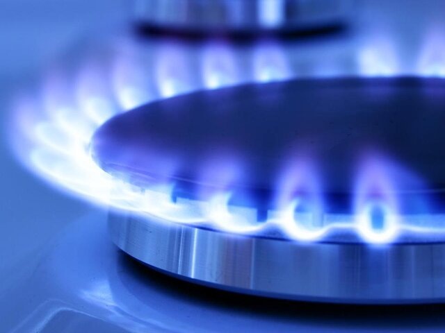    Фото: depositphotos/Zoooom