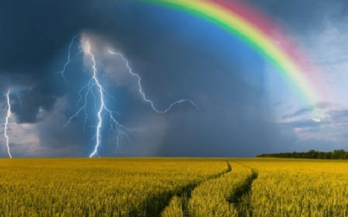 Фото из открытых источников.