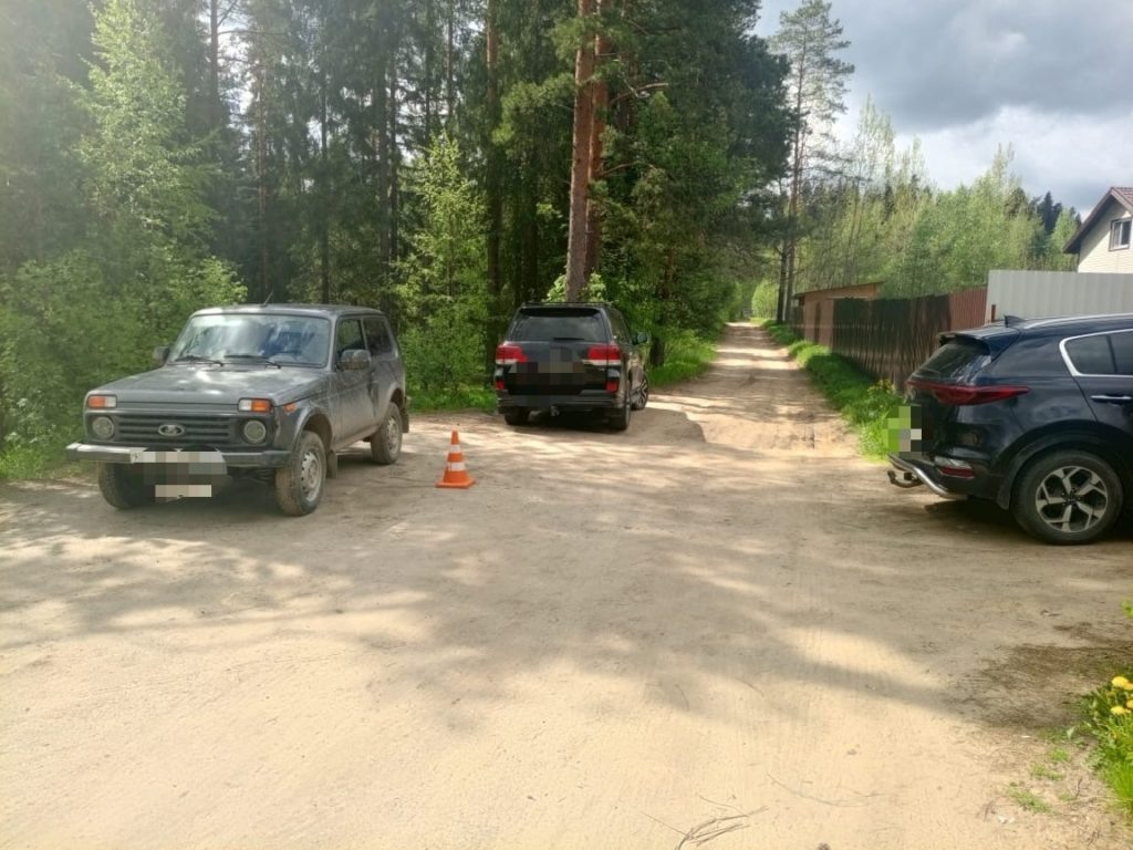    Фото: ГАИ Карелии