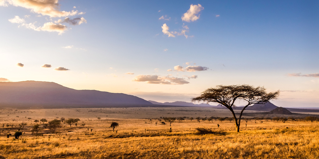 Загадочная Африка: волшебство кенийского сафари глазами мечтателя