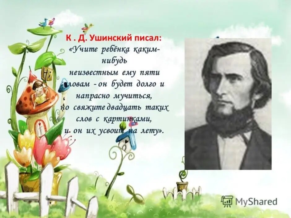 (фото взято из интернета)