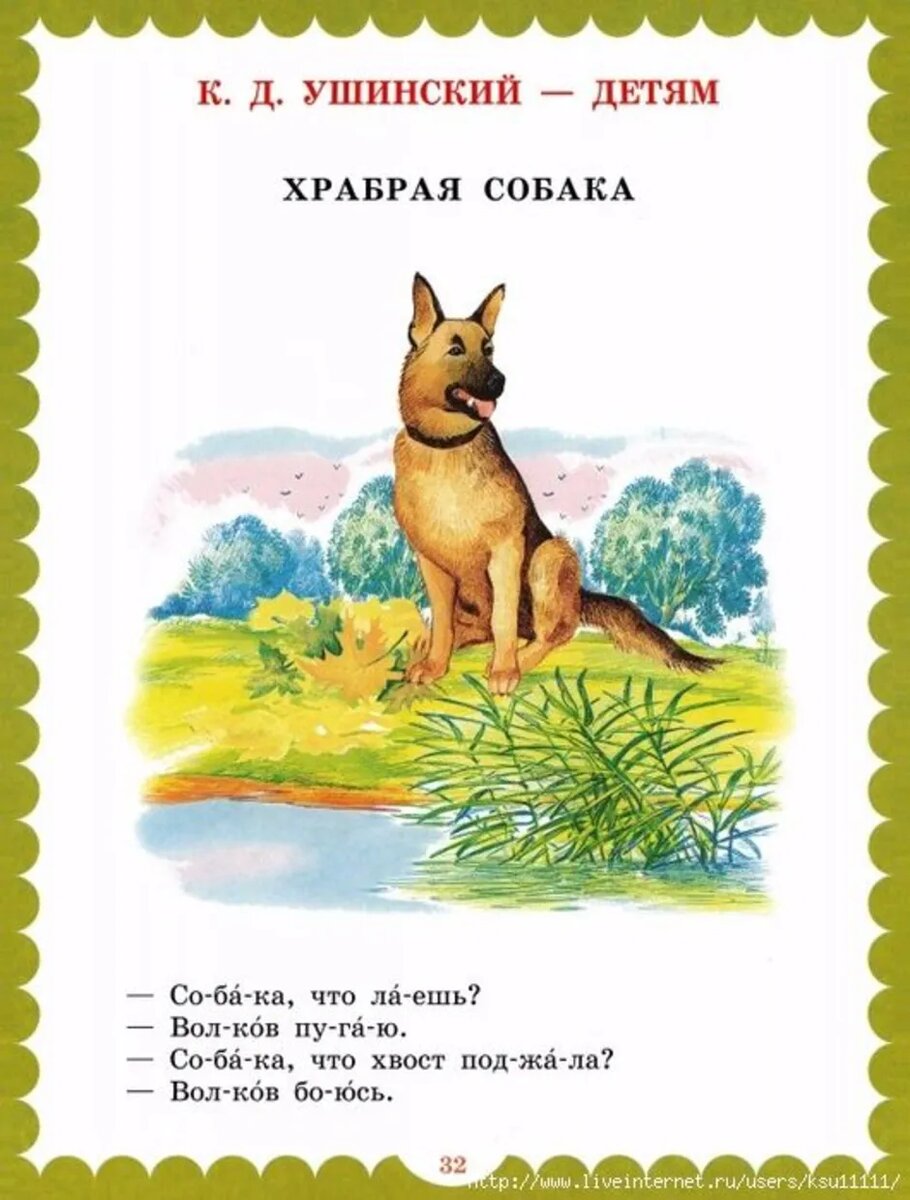 (фото взято из интернета)