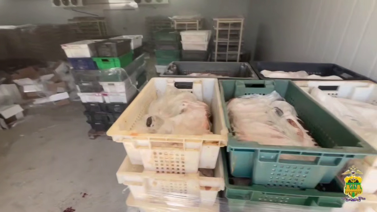    Фото: пресс-служба ГУ МВД России по Краснодарскому краю.