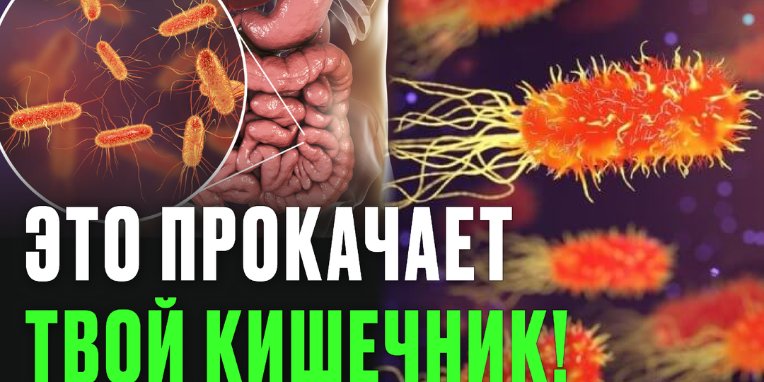 Часто болеешь? Врачи раскрыли главную причину слабого иммунитета — и как восстановить без БАДов