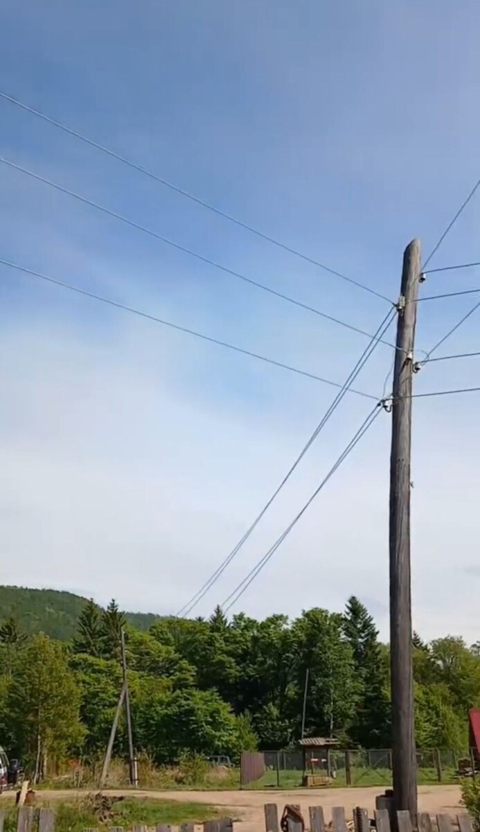     Источник: pogoda_25_region