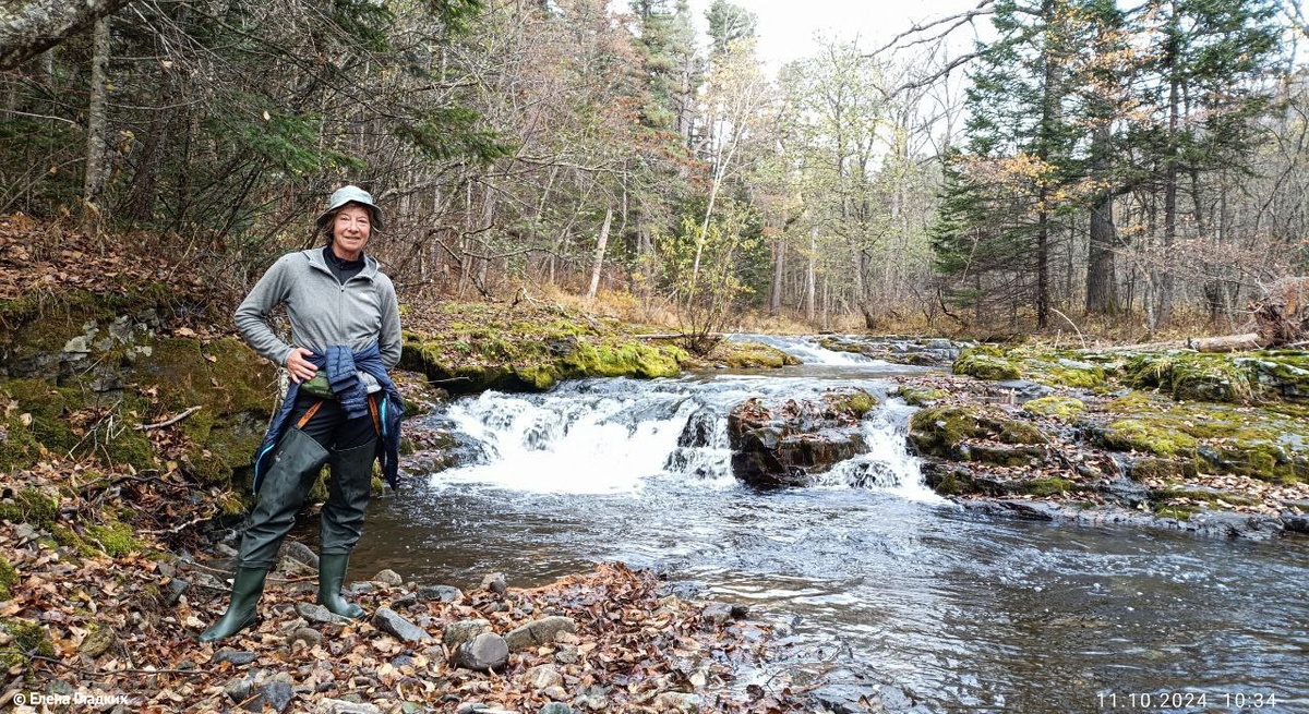 фото Елена Гладких