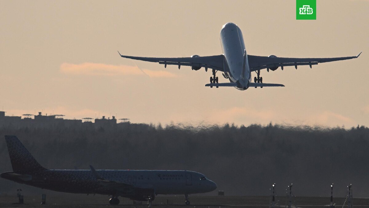    Фото: РИА Новости © 2025, Максим Блинов