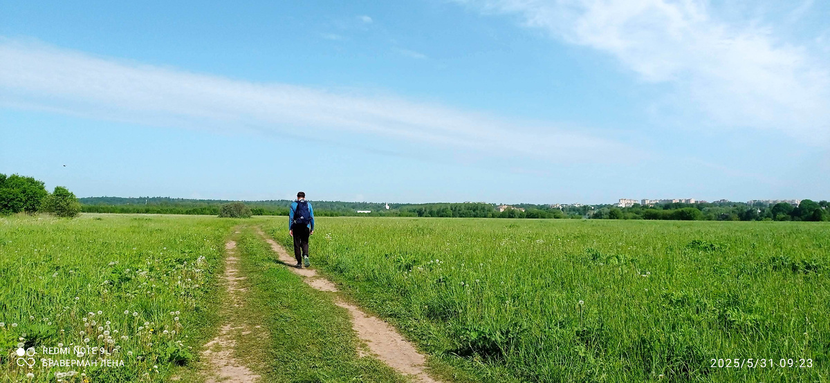 Звенигородские поля