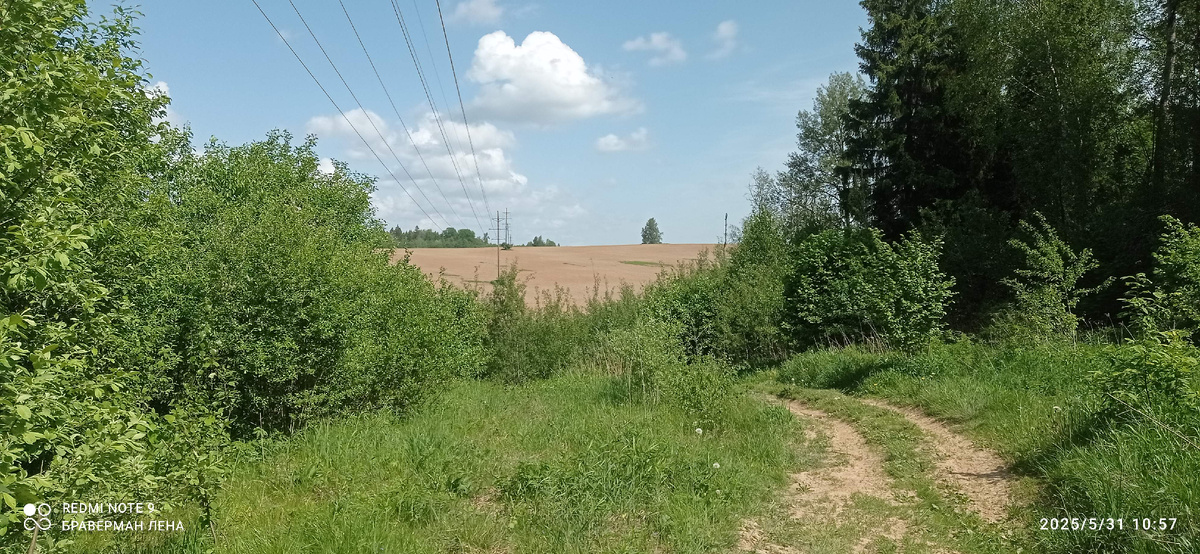 Скоковское поле