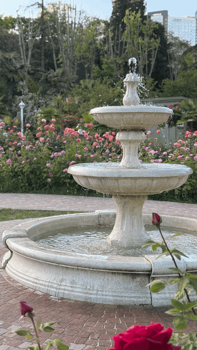 Парк “Ривьера” в Сочи. Восхитительный розариум