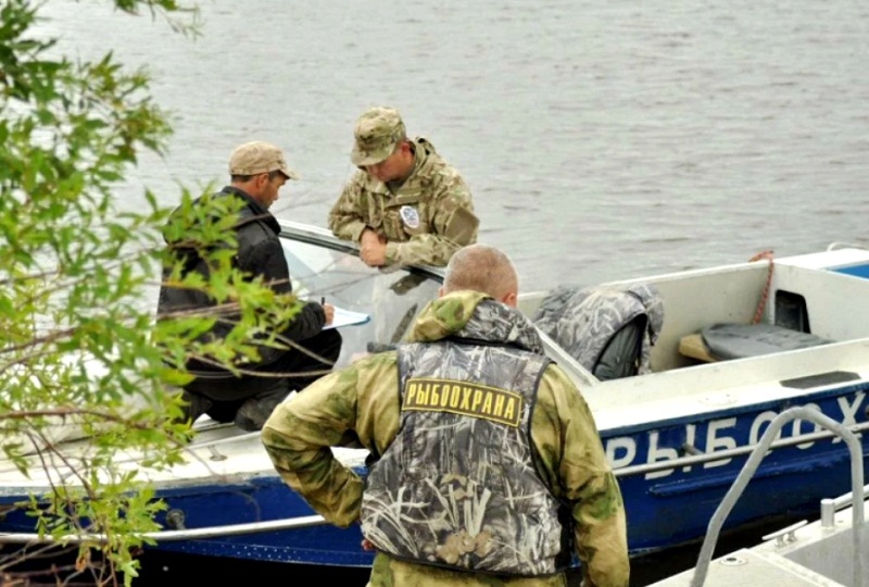 Он поймал 40 карасей, 1 окуня, и уголовное дело