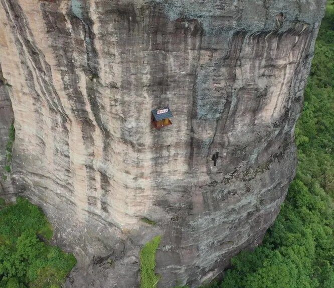 из соц сетей