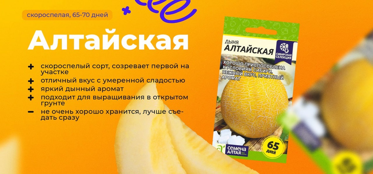 Для раннего урожая дынь