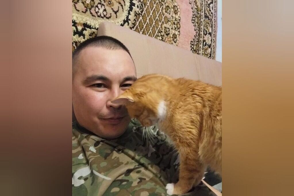    Кот с передовой: Рыжий ветеран СВО обживается в Оренбургской области