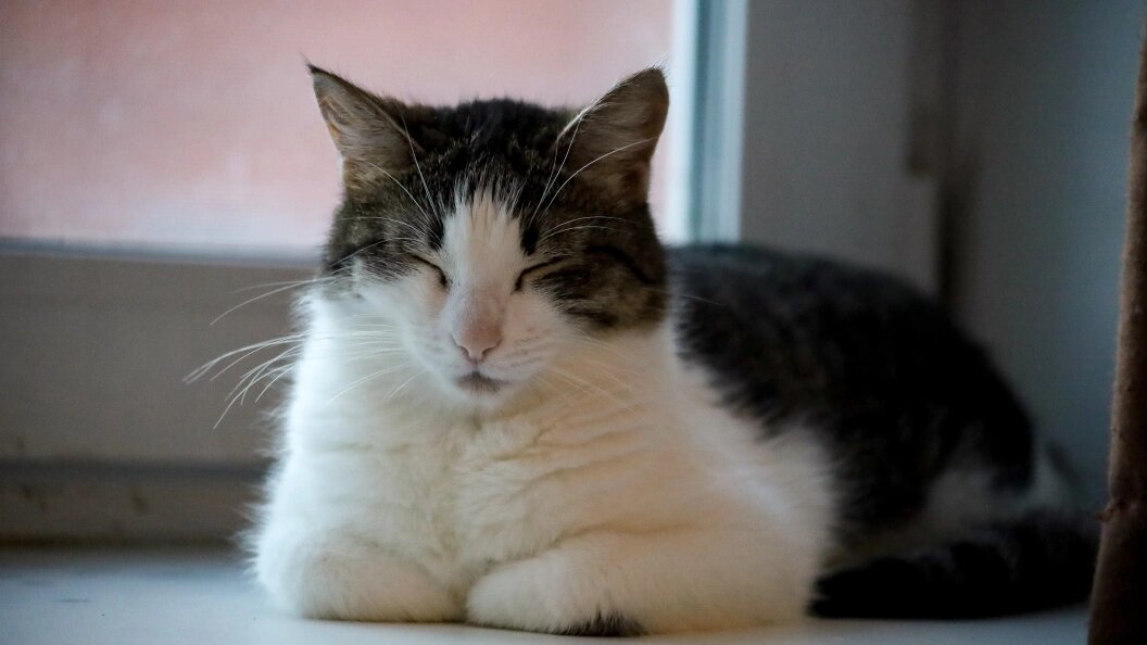    Elena Mayorova/Global Look Press/